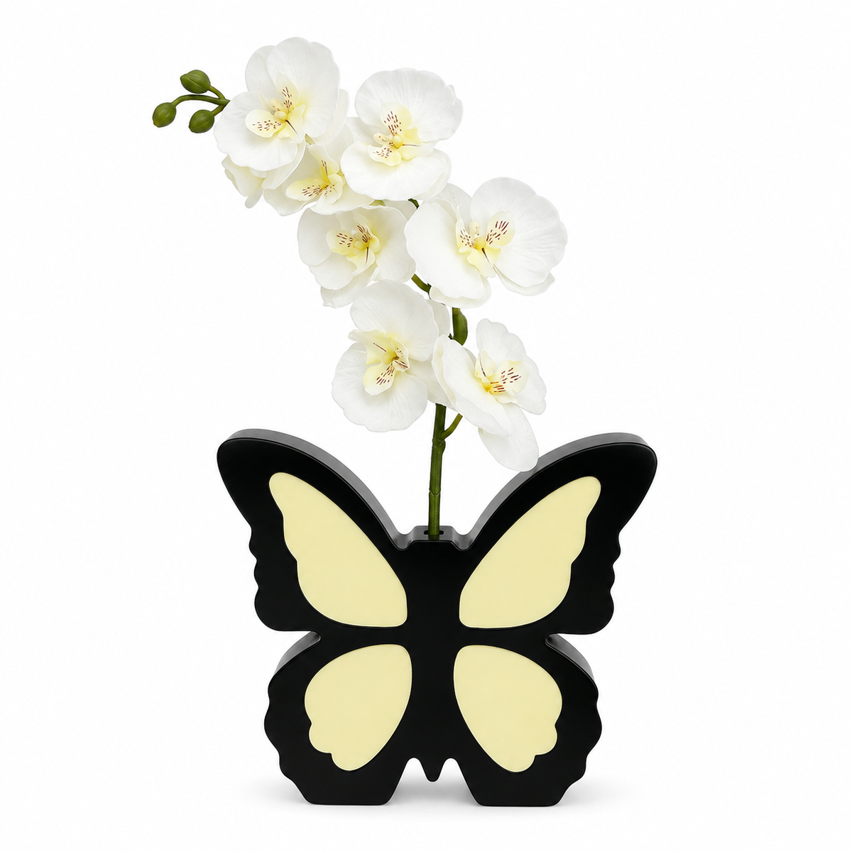 Black Butterfly Vase with White Orchid